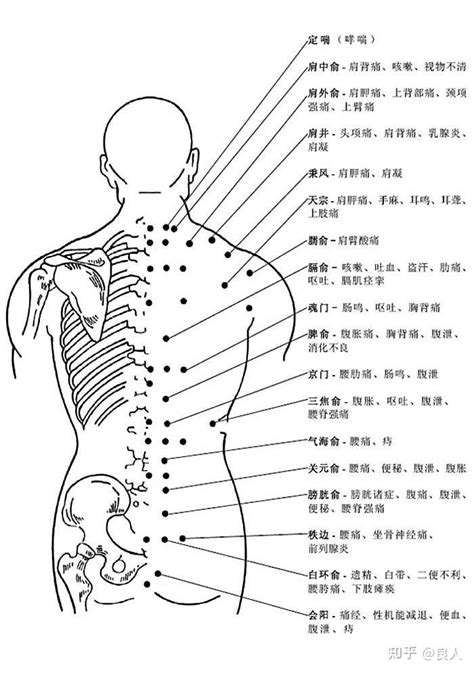 人身穴位圖|人体穴位图大全（带穴位功能主治说明）